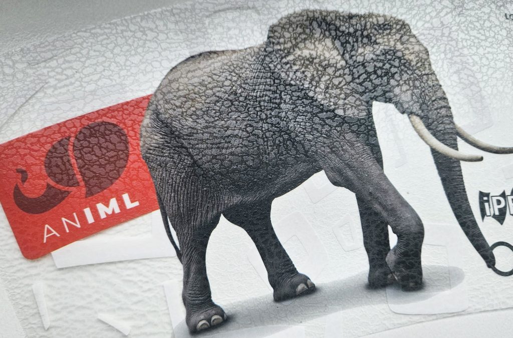 animl 3